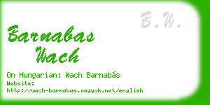 barnabas wach business card
